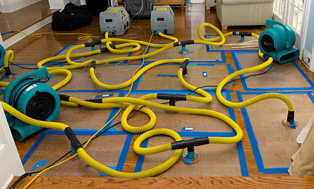 Professional Basement Flood Cleanup technician working in Sunnyvale, CA